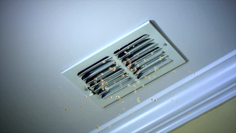 Best Air Duct Cleaning Company Near Me  in Lyons, GA
