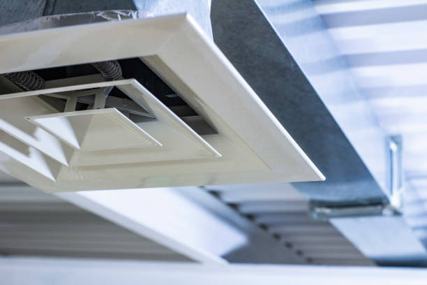 Best Air Duct Inspection  in Lyons, GA