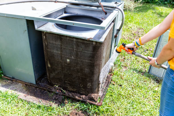 Best Air Duct Sanitizing Services  in Lyons, GA