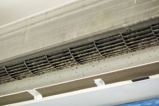 Best HVAC System Cleaning  in Lyons, GA